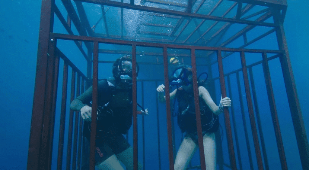 🦈7 Best Shark Movies on Netflix Goes Viral scoopok.com image 1 scoopok.com