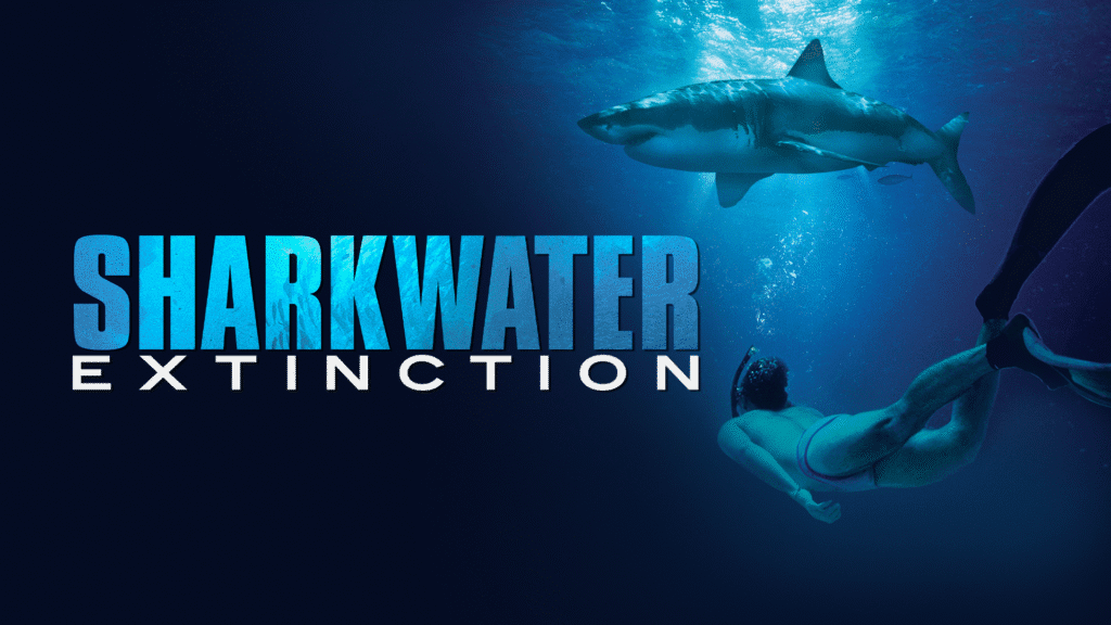 7 Best Shark Movies on Amazon Prime Don't Watch Alone scoopok.com image 10 scoopok.com