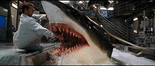 7 Best Shark Movies on Amazon Prime Don't Watch Alone scoopok.com best shark movies on netflix