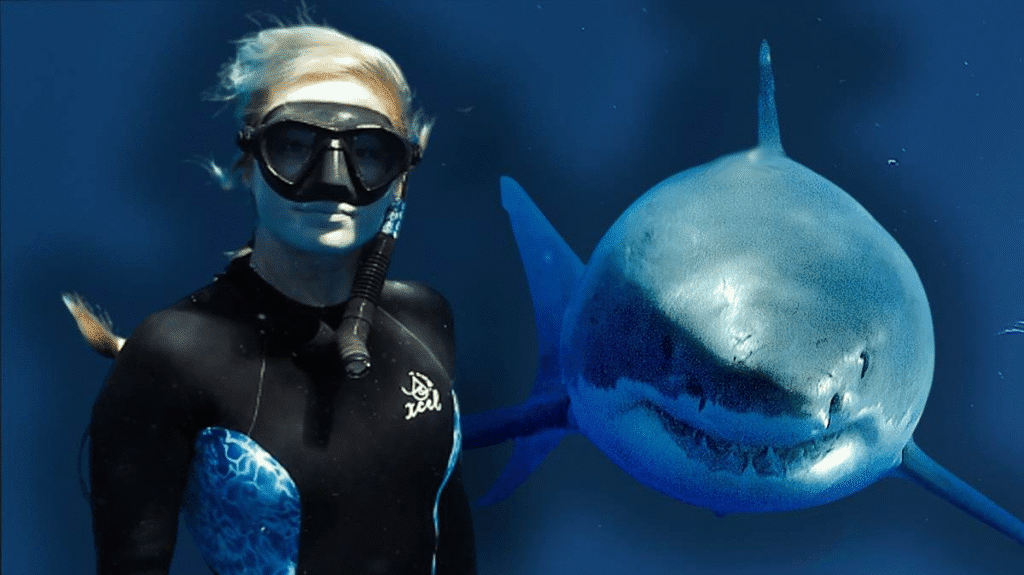 🦈7 Best Shark Movies on Netflix Goes Viral scoopok.com image 6 scoopok.com